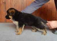 /album/fotogaleria-photos3/etna-kr-jpg/